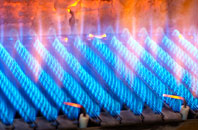 Edgerton gas fired boilers